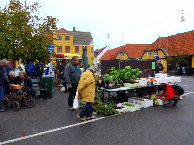 076__2017_10_14__torvedag__svaneke