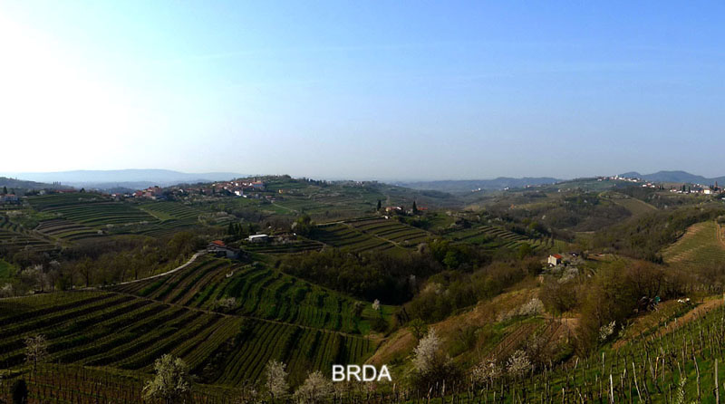 2015_04_10__goriska_brda__kozana