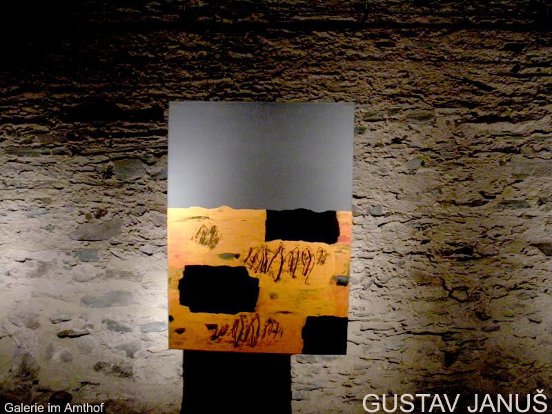 2009_09_03__gustav_janus