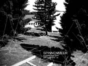 2010_05_28__spinnenmeer