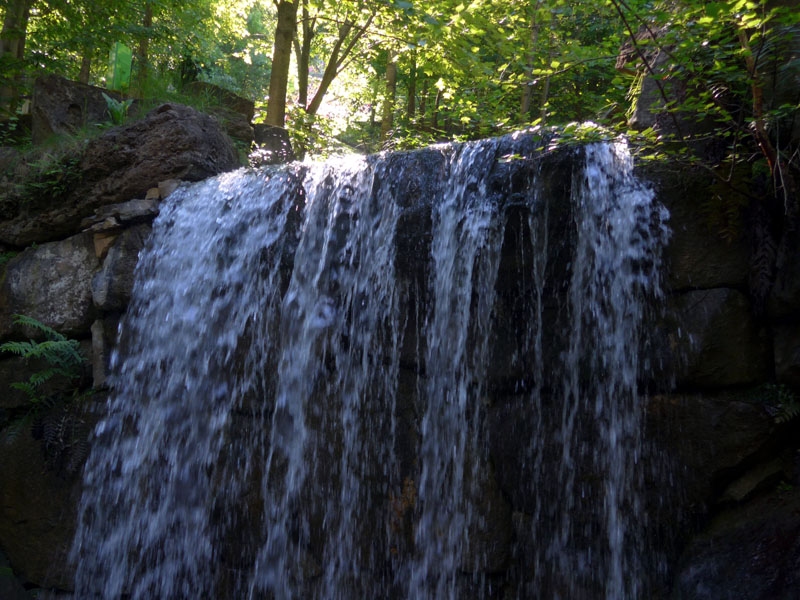 2014_06_14_0954__waldgarten_farntal