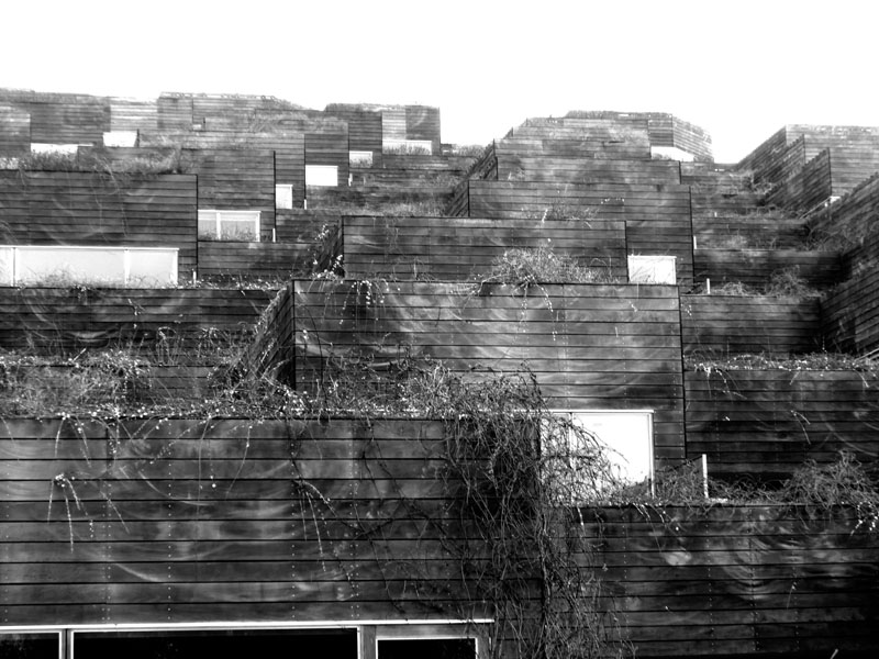 07__bjerget_the_mountain__big_bjarkeingelsgroup_jdsarchitects_plot_2008