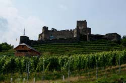 2013_07_12_1401__burg_glanegg__buschenschank_meierei