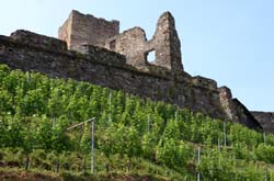 2013_07_12_1528__burg_glanegg__burgwein_lassnig